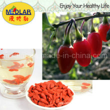 Medlar Hot Sell Organic Dried Goji